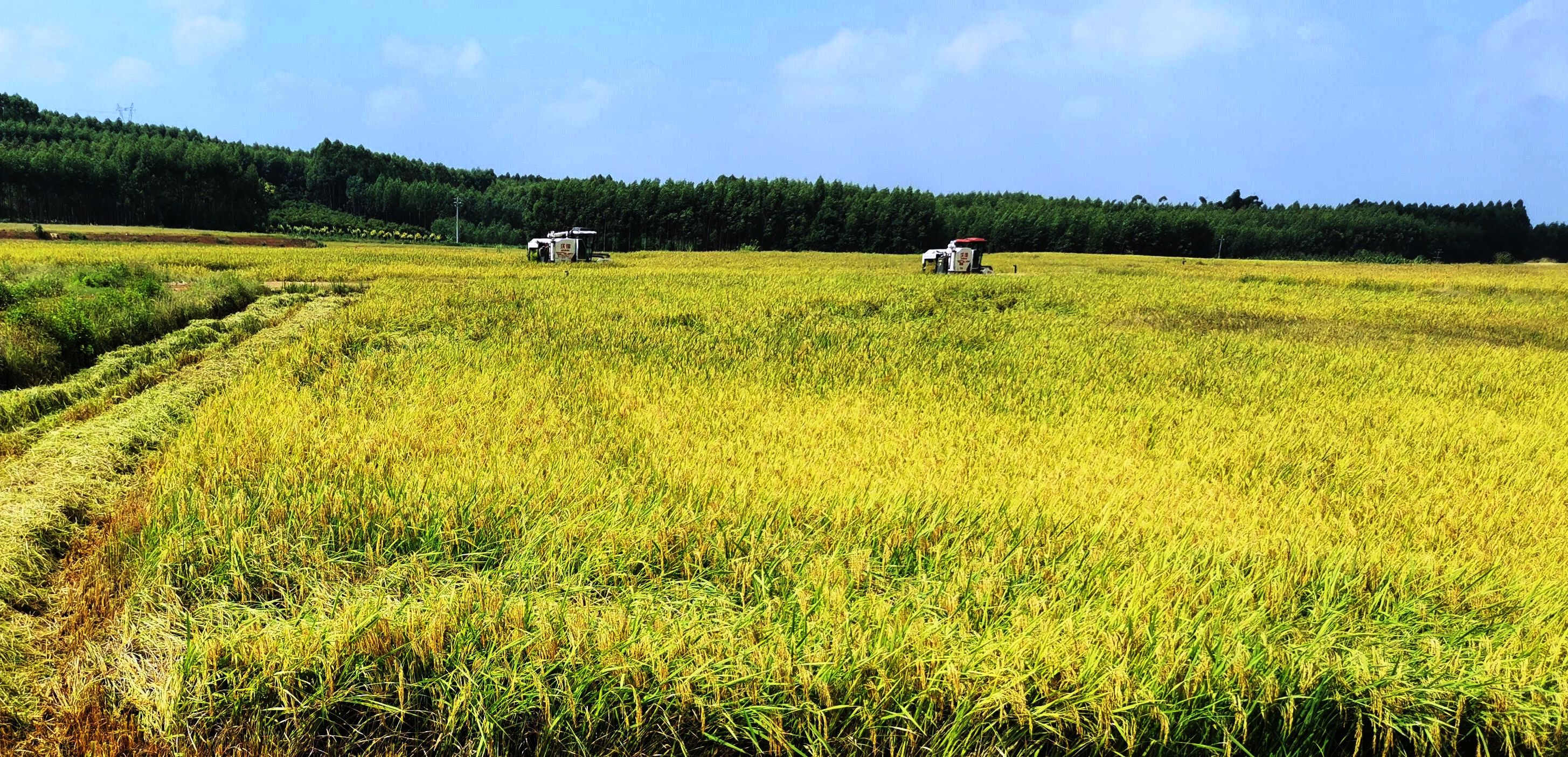 环亚集团·AG88(中国游)官方网站