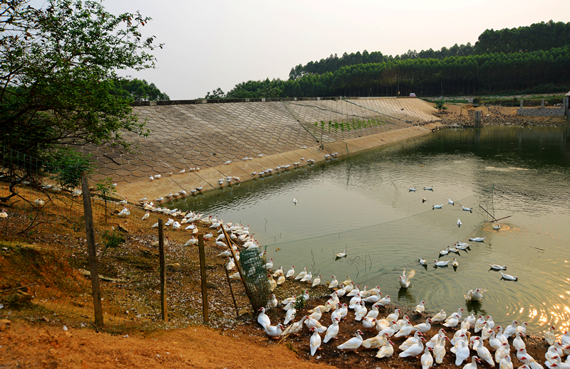 环亚集团·AG88(中国游)官方网站