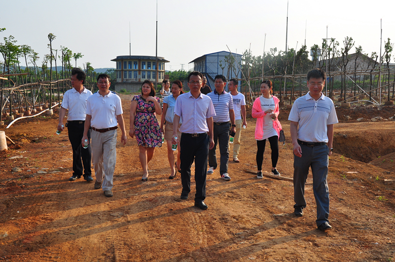 环亚集团·AG88(中国游)官方网站