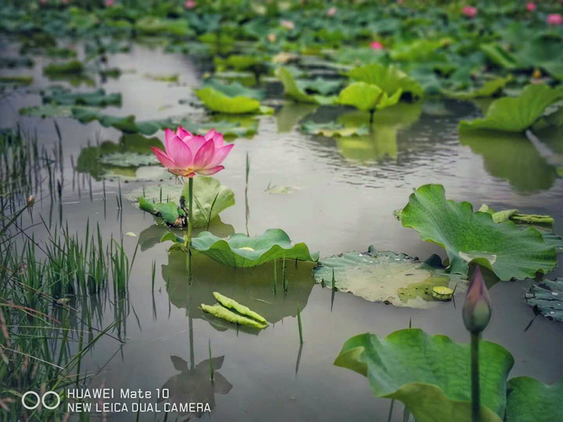 环亚集团·AG88(中国游)官方网站