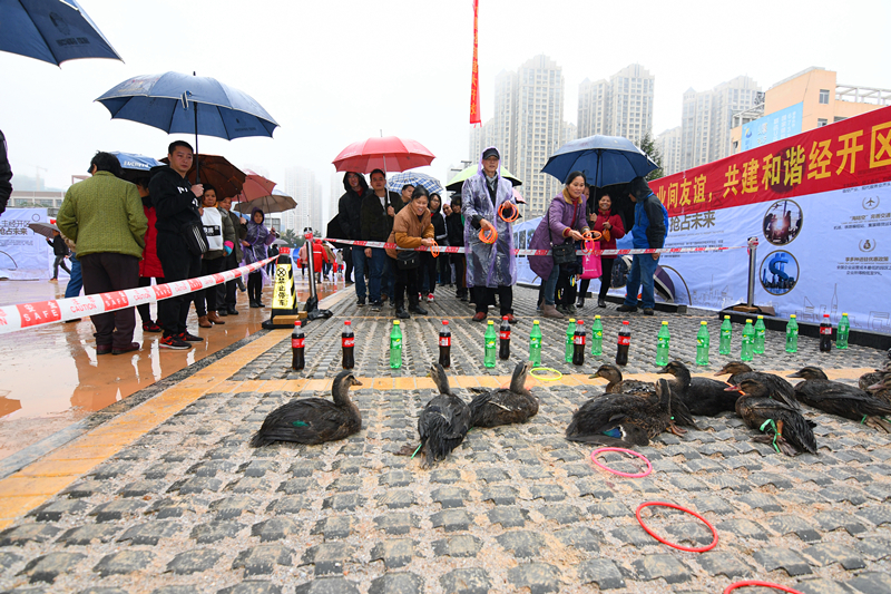 环亚集团·AG88(中国游)官方网站