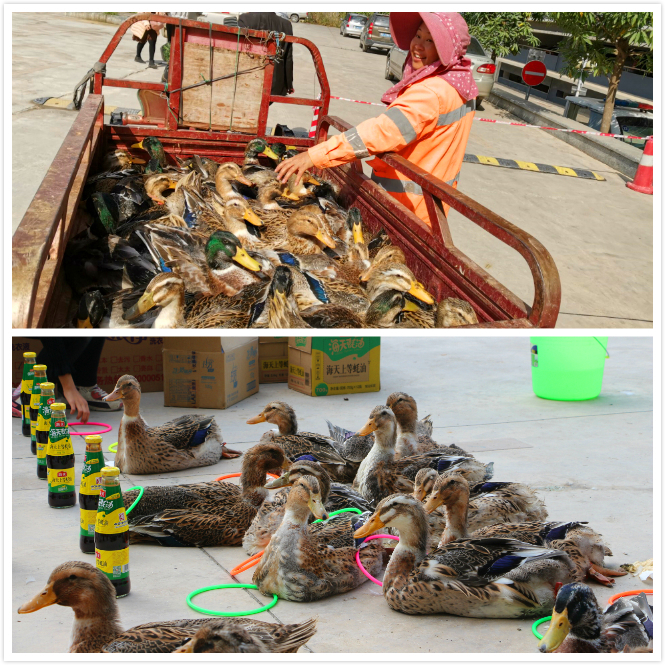 环亚集团·AG88(中国游)官方网站