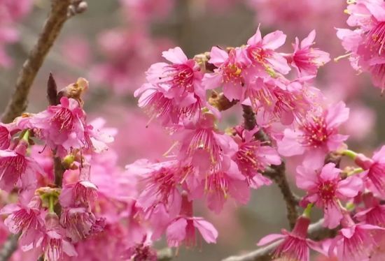 环亚集团·AG88(中国游)官方网站