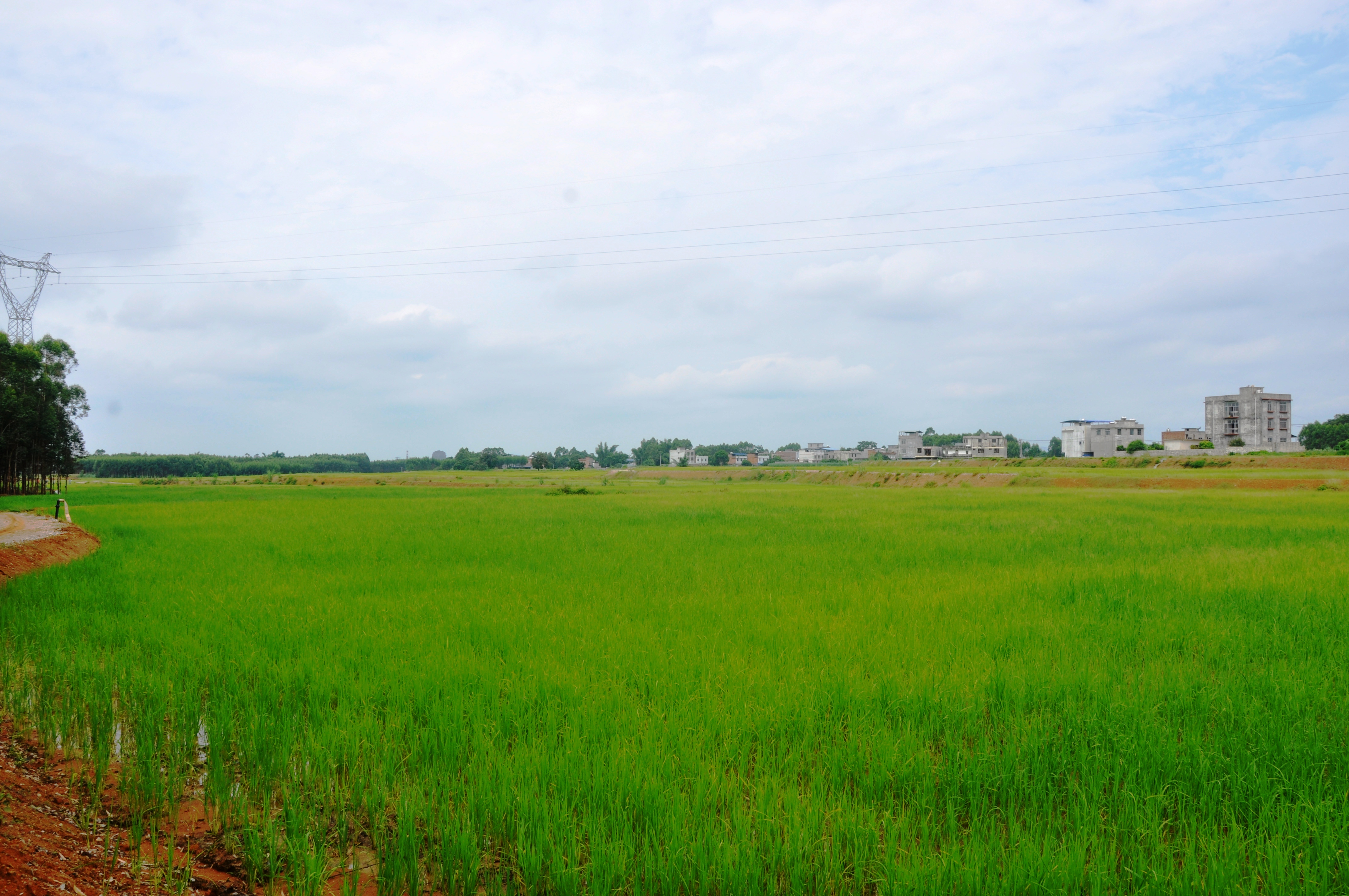 环亚集团·AG88(中国游)官方网站